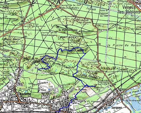 PXL057 9 km le dimanche après-midi : du Vallon des Trembleaux à Montigny-sur-Loing
