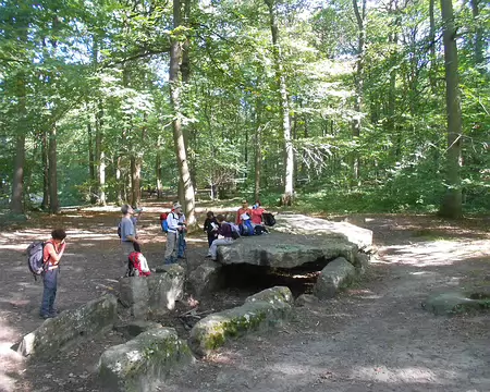 PXL005 L'Allée couverte de la Pierre Turquaise, monument mégalithique, sépulture collective de plus de 12 mètres de long, en forêt de Carnelle.