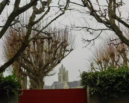 PXL009 Saint-Maclou
