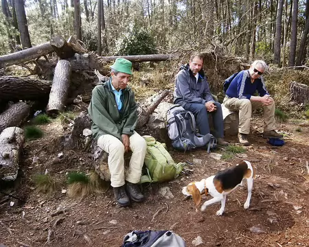 dialogue canin dialogue canin