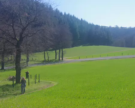 On se demande ce qu’ils cultivent pour obtenir un vert pareil ! On se demande ce qu’ils cultivent pour obtenir un vert pareil !.