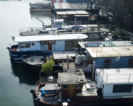 2017_02_19_13-25-37 Alligator