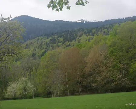 Le Replat, au-dessus de Farges Le Replat, au-dessus de Farges