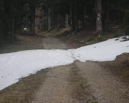 L’un des premiers, mais pas le dernier ! L’un des premiers, mais pas le dernier !