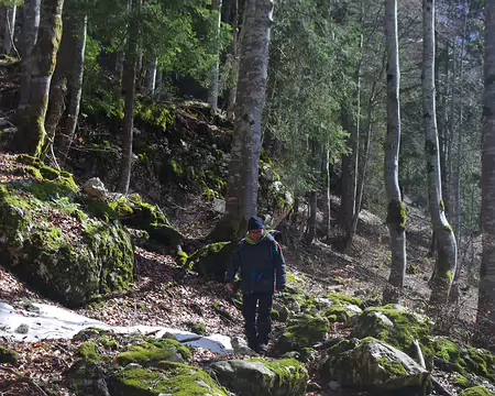 Descente en forêt Descente en forêt
