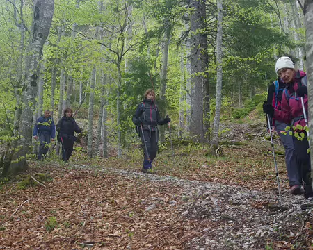 Descente en forêt Descente en forêt