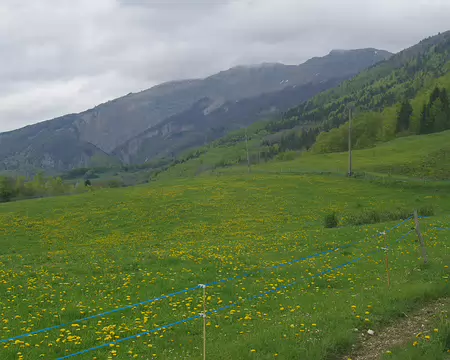 Près de l’Éperry Près de l’Éperry