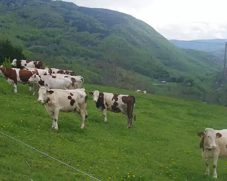 Dans mon village on n’en a pas ! Dans mon village on n’en a pas !