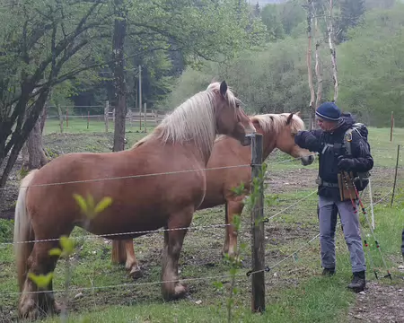 Vallée de la Valserine Vallée de la Valserine