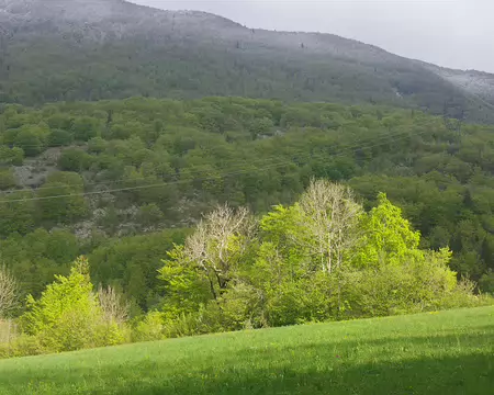 Rare rayon de soleil Rare rayon de soleil