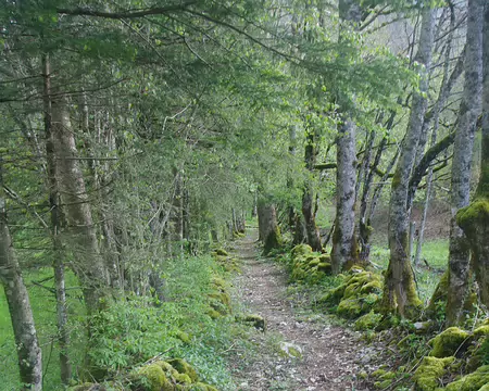 Petit sentier tout plat (profitons-en !) Petit sentier tout plat (profitons-en !)