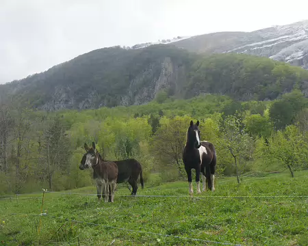 Il n’y a que les Parisiens et les ânes pour s’aventurer en montagne par un temps pareil ! Il n’y a que les Parisiens et les ânes pour s’aventurer en montagne par un temps pareil !