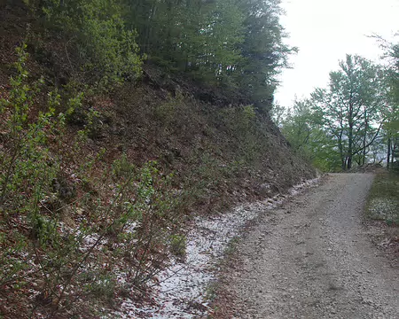 Signe avant-coureur Signe avant-coureur