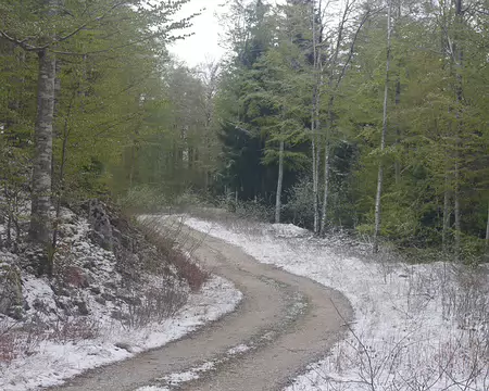 Cela se précise Cela se précise