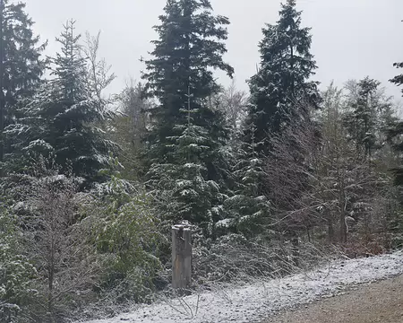Qui eût cru cela il y a encore quinze jours ? Qui eût cru cela il y a encore quinze jours ?