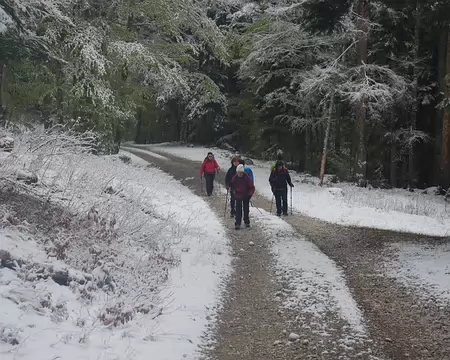 C’est sûrement encore un coup du réchauffement C’est sûrement encore un coup du réchauffement