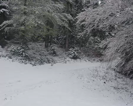 Ambiance de plus en plus hivernale Ambiance de plus en plus hivernale