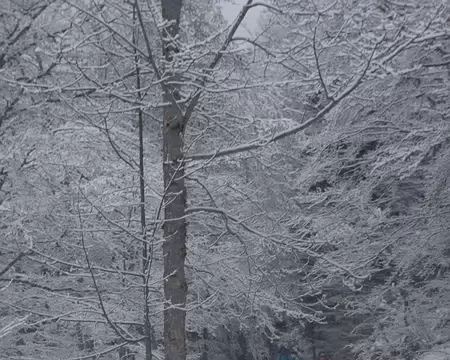 Chacun monte à son rythme Chacun monte à son rythme