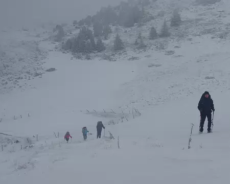 Sortis de la forêt, les choses ne s’arrangent pas Sortis de la forêt, les choses ne s’arrangent pas