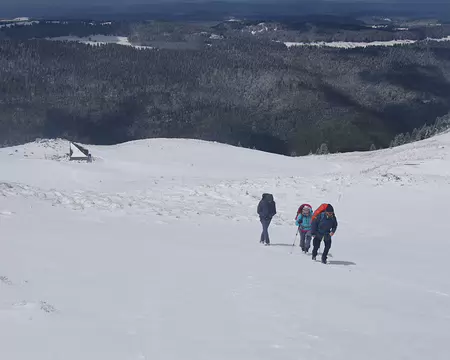C’est reparti C’est reparti