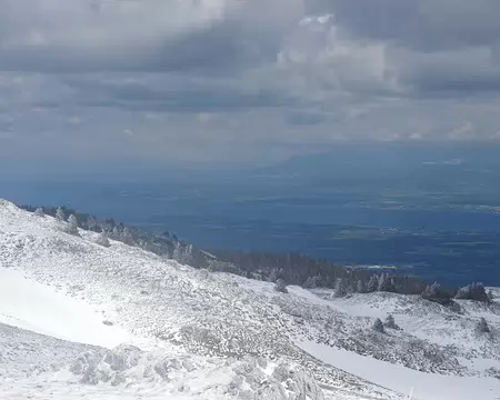 Vue en direction du lac Léman Vue en direction du lac Léman