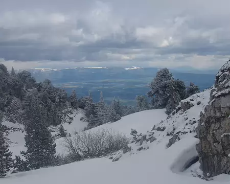 La zone du Crêt de la Neige est étonamment boisée La zone du Crêt de la Neige est étonamment boisée
