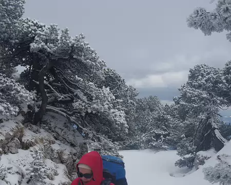 Tout près du Crêt de la Neige Tout près du Crêt de la Neige