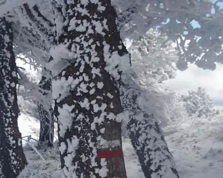 Mieux vaut ne pas s’écarter du GR Mieux vaut ne pas s’écarter du GR