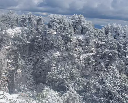 Non loin du Crêt de la Neige Non loin du Crêt de la Neige
