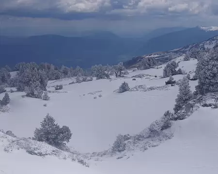 Non loin du Crêt de la Neige Non loin du Crêt de la Neige