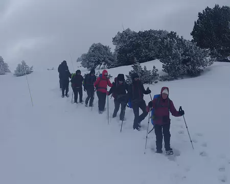 Certains ont opté pour les bâtons, d’autres non ! Certains ont opté pour les bâtons, d’autres non !
