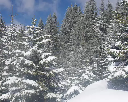 Ambiance hivernale Ambiance hivernale