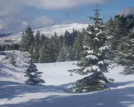 Je me demande comment nous ferions sans raquettes Je me demande comment nous ferions sans raquettes