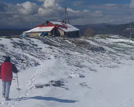 Patrick, un toit rouge ! Patrick, un toit rouge !