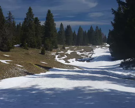 Forêt de Massacre Forêt de Massacre