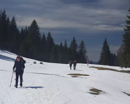 Ce sont bien des traces (très fraîches) de ski de fond Ce sont bien des traces (très fraîches) de ski de fond