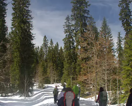 Sortie ski de fond sans les skis de fond ! Sortie ski de fond sans les skis de fond !