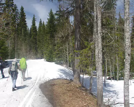 Forêt de Massacre Forêt de Massacre