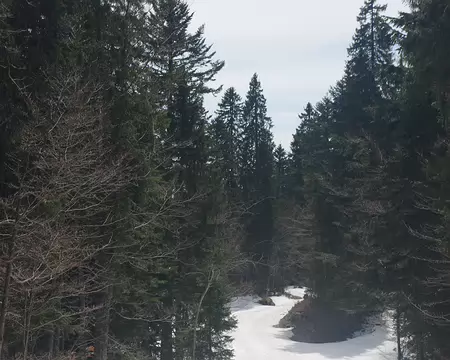 Euh... Non là c’est vraiment une skieuse du fond. Et elle n’est pas du CAF Euh... Non là c’est vraiment une skieuse du fond. Et elle n’est pas du CAF