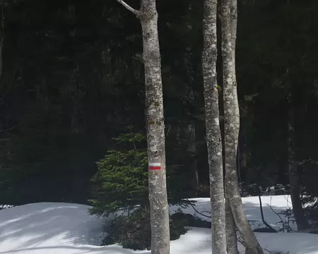 Heureusement il y a des balises Heureusement il y a des balises