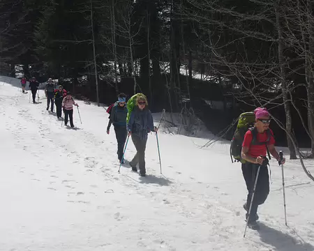 Plus de pistes mais toujours autant de neige Plus de pistes mais toujours autant de neige