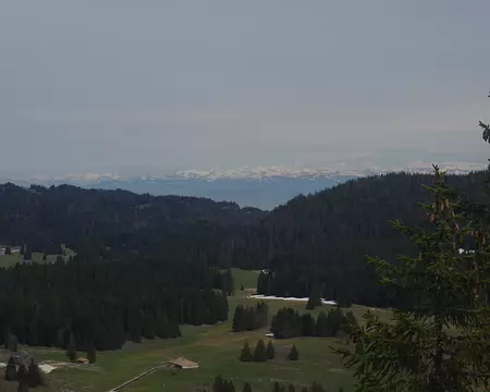 Belvédère des Dappes : vue vers les Alpes suisses Belvédère des Dappes : vue vers les Alpes suisses