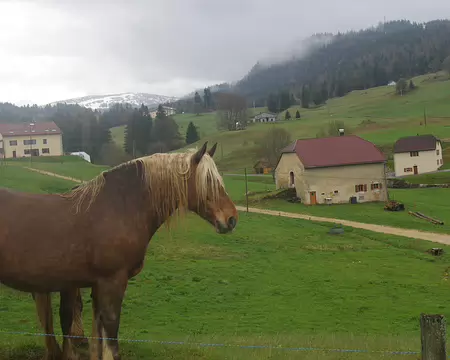 Dernier jour, ambiance différente... Dernier jour, ambiance différente...