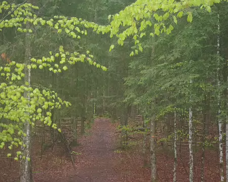 Mon appareil résiste à l’eau Mon appareil résiste à l’eau