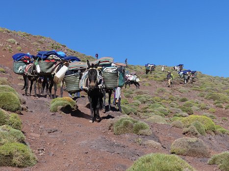 2024-06 Maroc