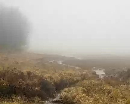 Rivière et brouillard